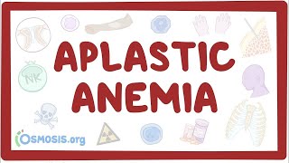 Aplastic anemia  an Osmosis Preview [upl. by Minton]