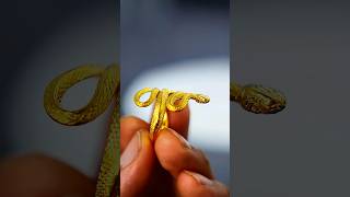 gold snake ring handmadejewelry jewelry fashion ring [upl. by Nyloj]