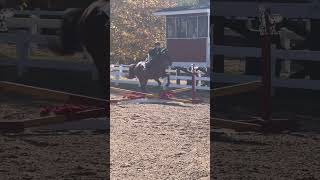 IEA cross rails W Levi 3rd place [upl. by Nicolella]