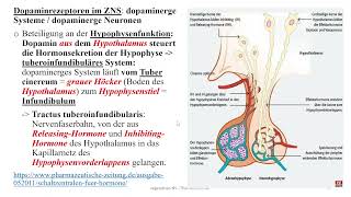 Autonomes Nervensystem 17 Dopamin und Dobutamin Pharmakologie Schizophrenie und M Parkinson [upl. by Enileuqaj765]