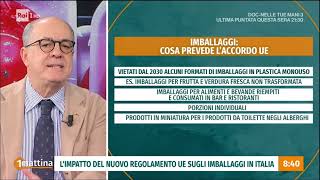 Il punto di Paolo De Castro su regolamento imballaggi a unomattina [upl. by Notxed]