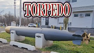 The Torpedo A Game Changing AntiShip Weapon [upl. by Rim]