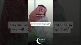 Sumun Bukmun Umyun Fahum La Yarjioon by Sheikh Mishary Rashid Alafasy quranrecitation Emotional [upl. by Earesed703]