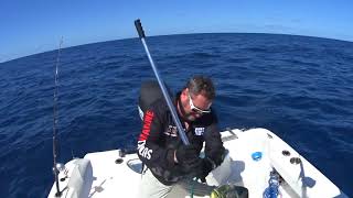 Offshore fishing with Boozehoover  Mahi Mahi off Moreton Island Australia Jan 2018 [upl. by Laverne]