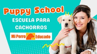 Educación Para Cachorros en Mi Perro Educado [upl. by Chernow541]