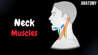 Muscles of the Neck Groups Origin Insertion Function [upl. by Nnalyrehs]