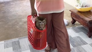 Hilarious Jason Demand Stay In Basket Keenly Wait Mom Carry [upl. by Farman]