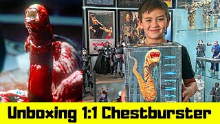 Unboxing 11 Scale Chestburster [upl. by Gamages]