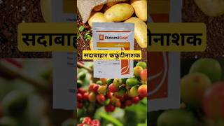 हर तरीके से उपयोग होने वाला शानदार fungicide [upl. by Ahsiliw]