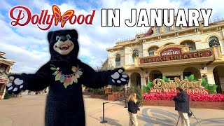 How Busy Is Dollywood After New Years Day [upl. by Ramberg]