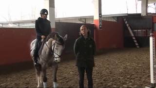 Lezioni Equitazione  Salto ostacoli tecnica equestre  Cavallo 4 anni i primi salti al galoppo [upl. by Adnahc]