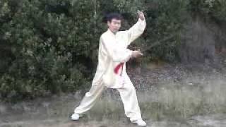 Taiji Traditional Yang Tai Chi Sword [upl. by Marvella348]