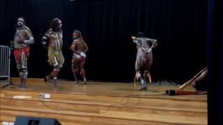 Maureen Mulheron  Australian Aboriginal  Willie Wagtail Dance [upl. by Rheba]