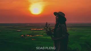 SDAB PLENG ភ្លេចរបៀបណា Remix 2K2 [upl. by Brenton108]