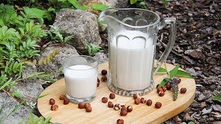 How to make hazelnut milk at home with a nut milk bag [upl. by Cedar]