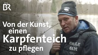 Teichwirtschaft im Winter Fischzucht mit Karpfen Forellen amp Zander  Unter unserem Himmel  BR [upl. by Timmy]