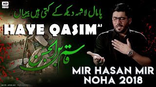 Nohay 2018  Haye Qasim ع  Mir Hasan Mir New Noha 201819  Noha Mola Qasim  Nohay 2019 [upl. by Nnaitak]