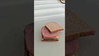 Making the perfect Sandwich in under 5 seconds [upl. by Kronfeld754]