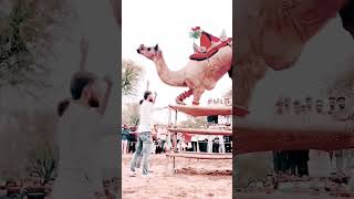 dance folks song newfolksongs2023telugudj newmusicrelease nonstopdjremixsong rajasthani [upl. by Nicolea]