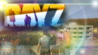 DayZ  Friendly Fire DayZ Standalone Funny Moments [upl. by Sakovich]