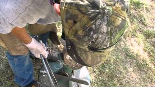 Hoof trimming Farrier correcting 3 unbalanced horse hooves [upl. by Olive864]