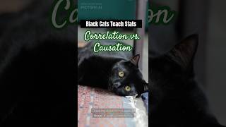 Darkness the Cat explains Correlation vs Causation catshorts statisfying facts blackcats [upl. by Namlak388]