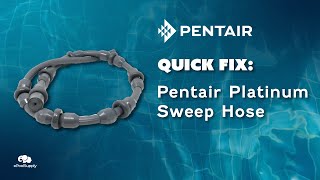 Pentair Kreepy Krauly Platinum Sweep Hose  Quick Fix [upl. by Glovsky]