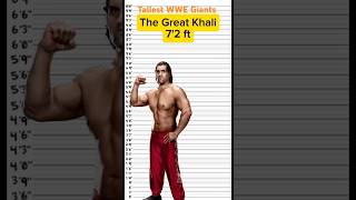 Most Tallest WWE GIANTS of all time  Height comparision [upl. by Nehgam]