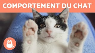 Comportement du chat  Les clés pour les comprendre [upl. by Razid596]