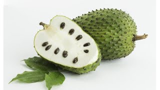 Top 13 Surprising Health Benefits of Soursop [upl. by Ardnoed]