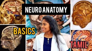 neuroanatomy basics in tamil medical essential CNSPNS brain [upl. by Meerak]