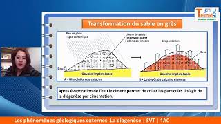 La diagenèse [upl. by Arda]