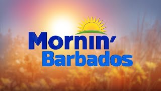 Mornin Barbados  November 15 2024 [upl. by Saunders]