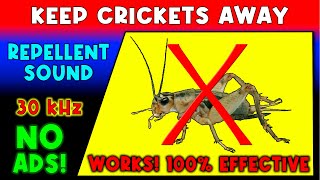 ANTI CRICKETS REPELLENT SOUND ⛔🦗 KEEP CRICKETS AWAY  ULTRASONIC SOUND [upl. by Aldon]