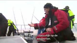 Gulvissen op de Noordzee met de Sea Leopard [upl. by Adnawyek]