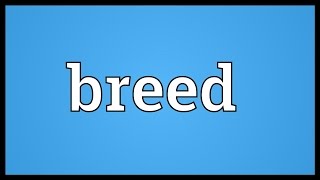 Breed Meaning [upl. by Mercer236]