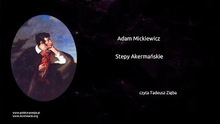 Adam Mickiewicz  Stepy Akermańskie [upl. by Ahsitul]