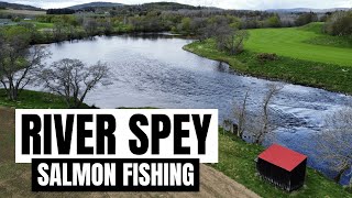 Spring Salmon Fishing On The River Spey [upl. by Atokad]