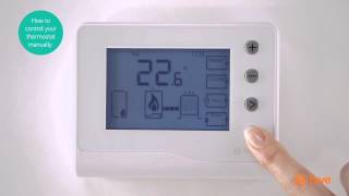 Hive  How To Control Your Thermostat Manually  Bord Gáis Energy [upl. by Nylyaj]