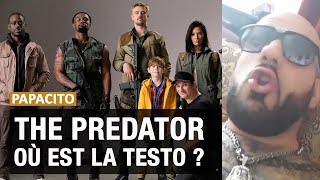 PAPACITO  Predator version woke la virilité en deuil  Reupload HD [upl. by Eno522]