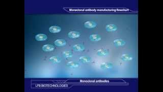 Monoclonal antibody manufacturing [upl. by Jenda]