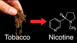 Isolating Nicotine From Worlds STRONGEST Tobacco [upl. by Kassie]