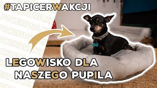 Jak zrobić legowisko dla psa lub kota  Łatwe i mocne [upl. by Yhtak]