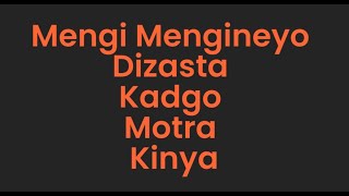 Dizasta Vina  Mengi Mengineyo Feat Kadgo Kinya amp Motra The future [upl. by Gizela]