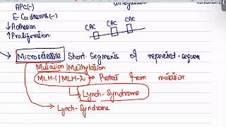 Colorectal Carcinoma from first aid step 1USMLEUrduHindi [upl. by Aleihs51]