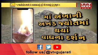 Viral Truth Face of Tiger appears in the Jyot of Ambaji Temple  Vtv News [upl. by Shane]