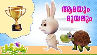 ആമയും മുയലും l Aamayum Muyalum Tortoise amp Rabbit  Malayalam Animation video l Elefaanty Malayalam [upl. by Etnoel]