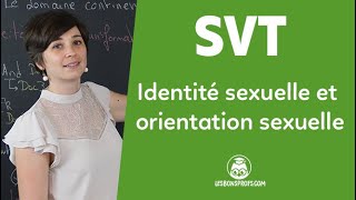 Identité sexuelle et orientation sexuelle  SVT  Seconde  Les Bons Profs [upl. by Otreblif501]