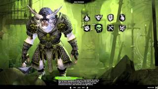 What is Guild Wars 2 [upl. by Norvall]