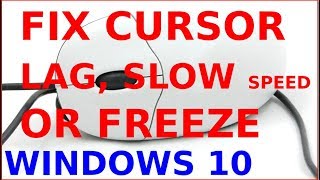 How to fix mouse not moving  cursor freeze slow speed and lags in windows 10 6 solutions [upl. by Cornia717]